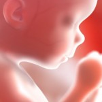 Time to Make "Unborn" the New Gay?