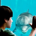 <em>Dolphin Tale</em> and Rethinking Dominion