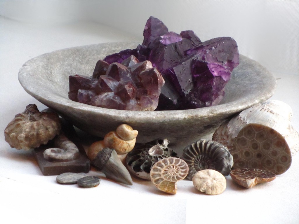 Fossils and Amethysts 100
