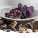 Fossils and Amethysts 100