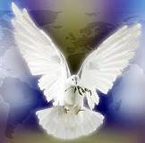 Holy Spirit dove over the world