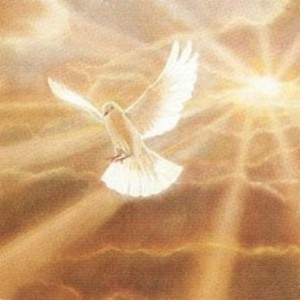 Holy Sprit dove in gold light