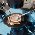 FDA Mulling Three-Parent Embryo Creation