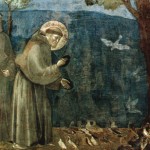 St. Francis: Creation and "The Environment"