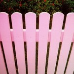 Pink Picket Fences
