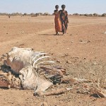 Solutions for East Africa Drought 