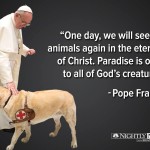 NO! Pope Francis did NOT say that!