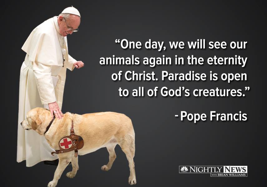 NO! Pope Francis did NOT say that!