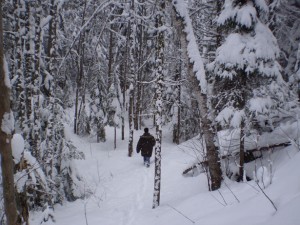 Walk in the Snow