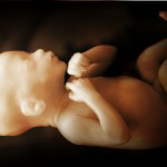 National 20-Week Abortion Ban Introduced in U.S. Senate