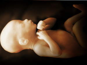 baby pre-born right-to-life abortion unborn