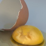 What is in an Egg Besides Trouble?