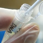 Supreme Court Allows DNA Collection After an Arrest