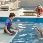 Inside the <em>Dolphin Tale’s</em> Second Splash