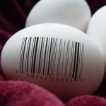 China’s Black Market for Human Eggs Lures the Young