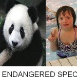 Save the Pandas <em>and</em> Down Syndrome