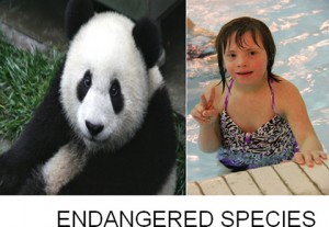 endangered-species