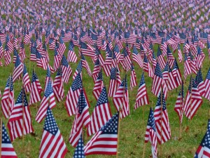 field of flags