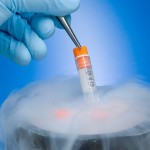 My Journey Through In Vitro Fertilization