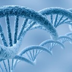 US Supreme Court Rejects Gene Patents