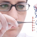 What is the Catholic View on Genetic Engineering?