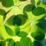 Irish Prayers for Strong Families and Spiritual Protection