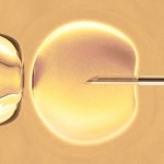 Rejecting In Vitro Fertilization for All the Right Reasons