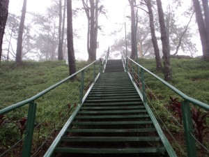 long stairs