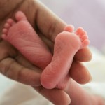 WHO Ignores Link Between Growing Incidence of Preterm Birth and Abortion