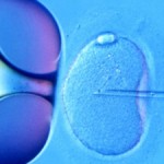 Asexual Human Reproduction