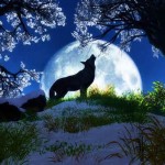 Poem: "The Song of the Wolf"